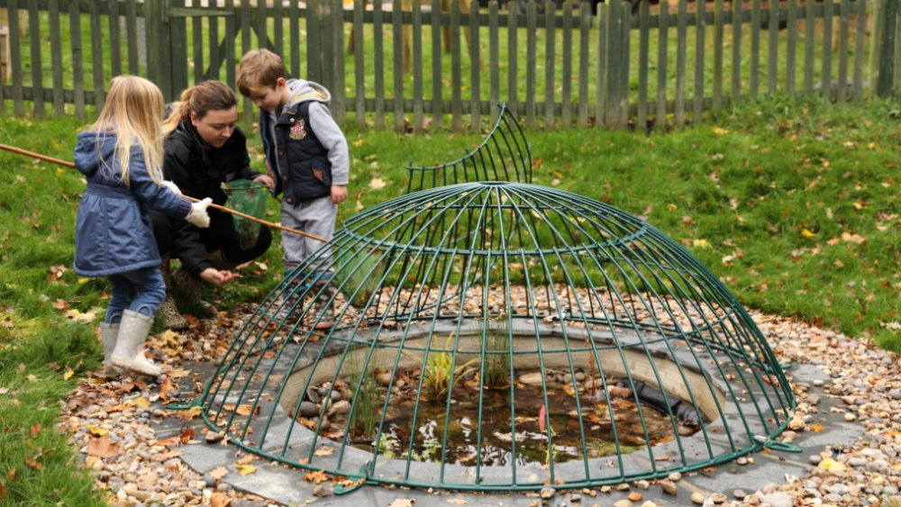 Wivenhoe Park Day Nursery gardens- contact us page